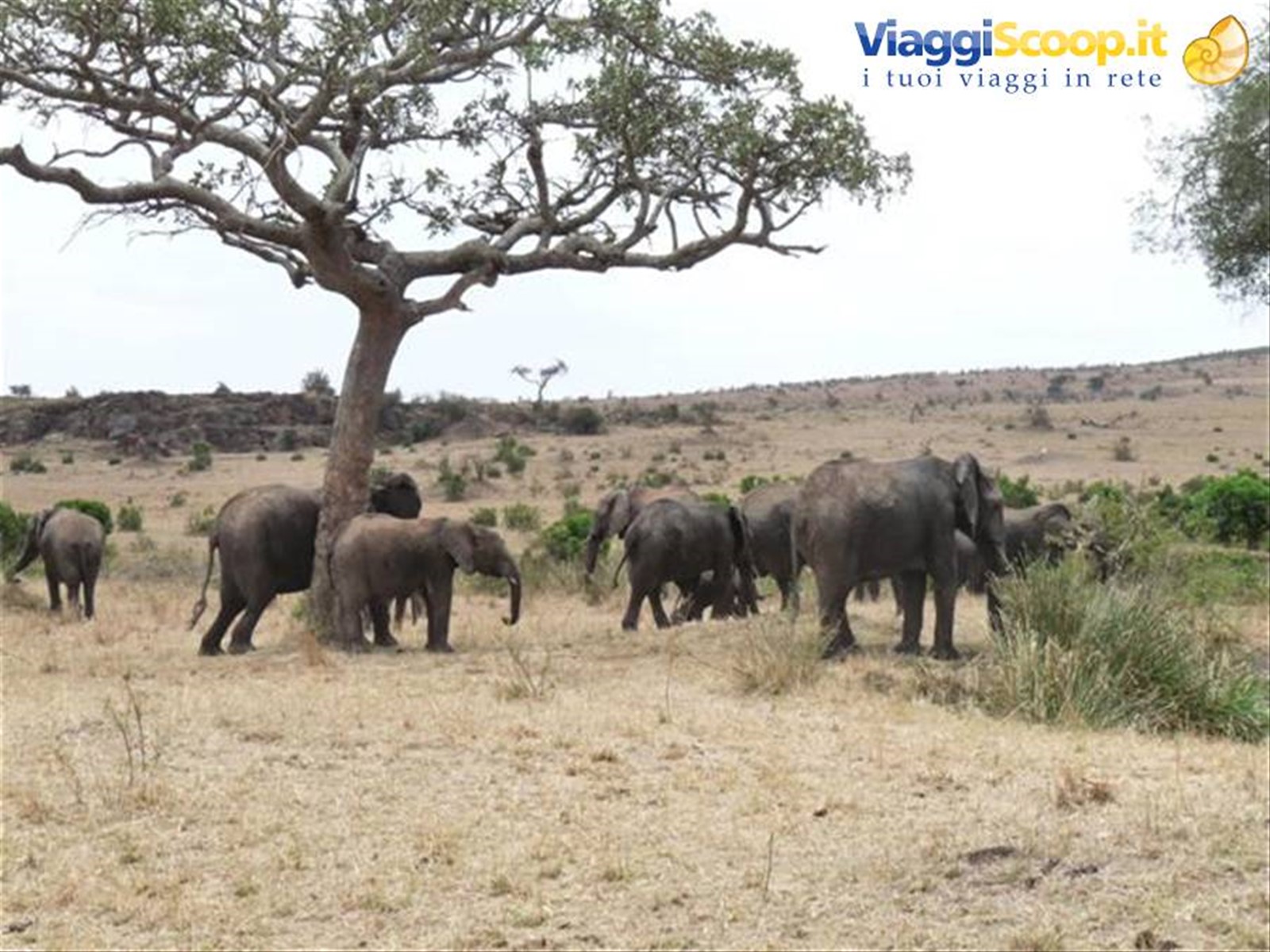 Foto di viaggio in KENYA