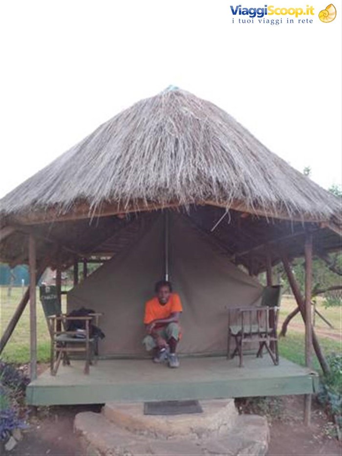 Acacia Camp