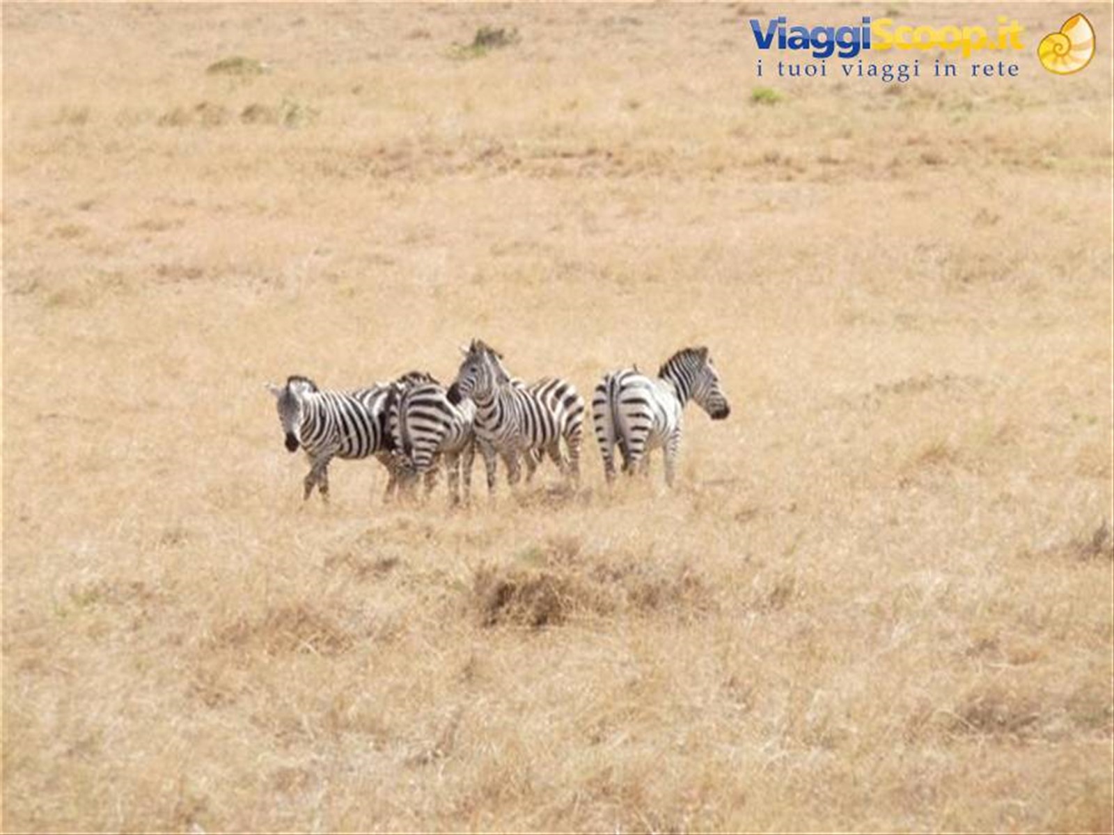 Foto di viaggio in KENYA