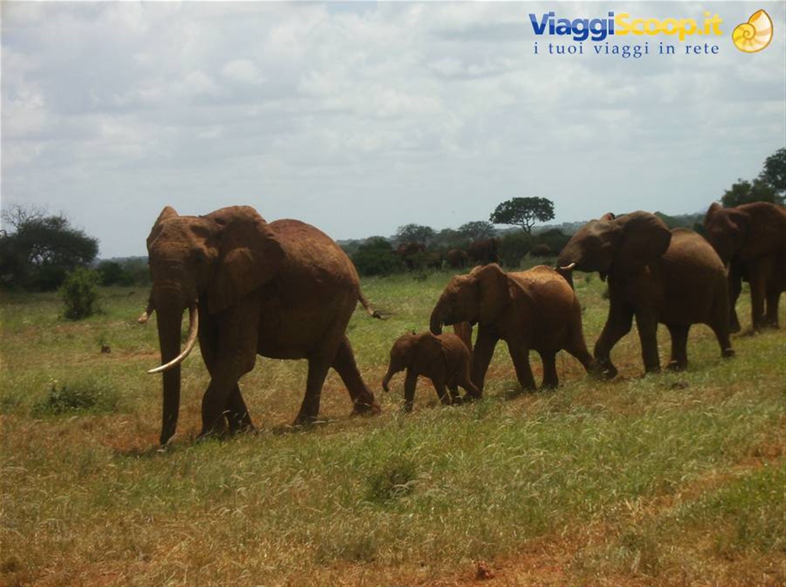 Foto di viaggio in KENYA