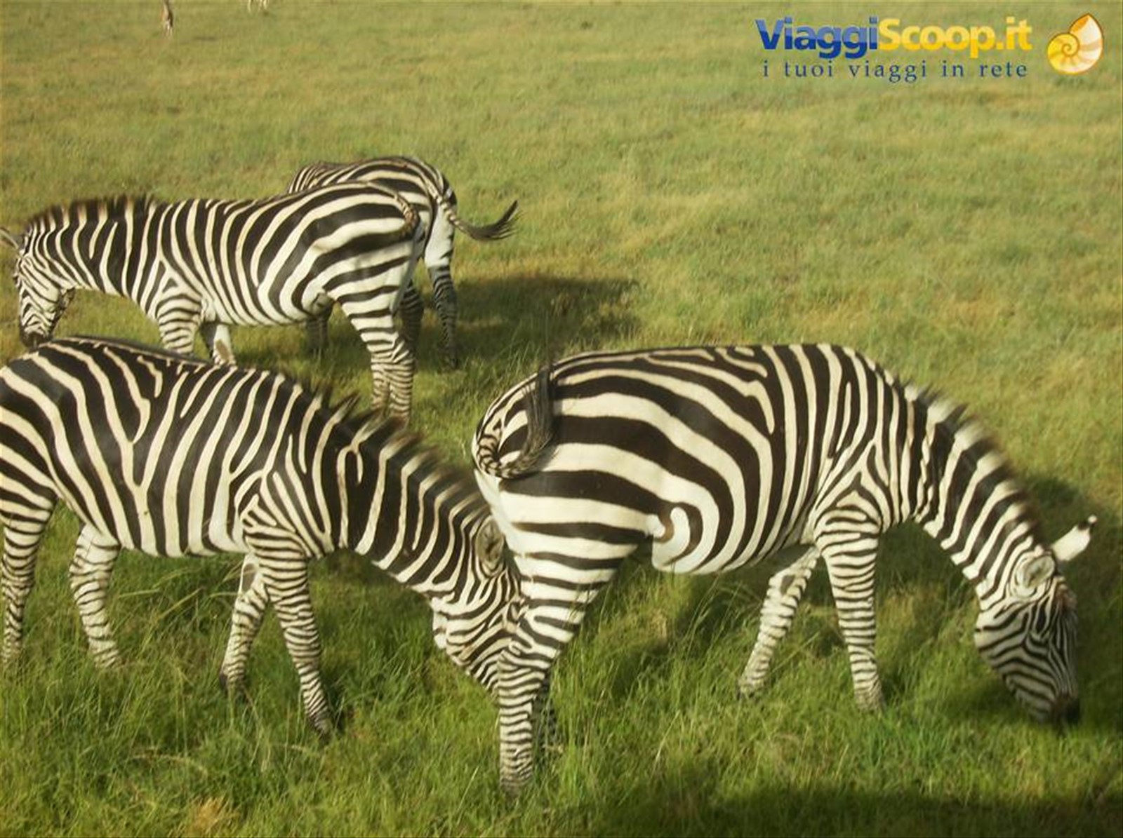 Foto di viaggio in KENYA