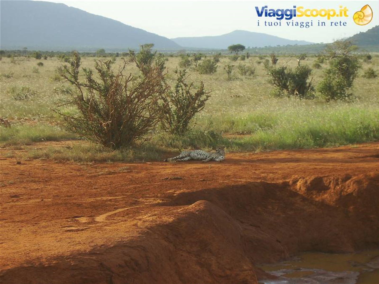 Foto di viaggio in KENYA
