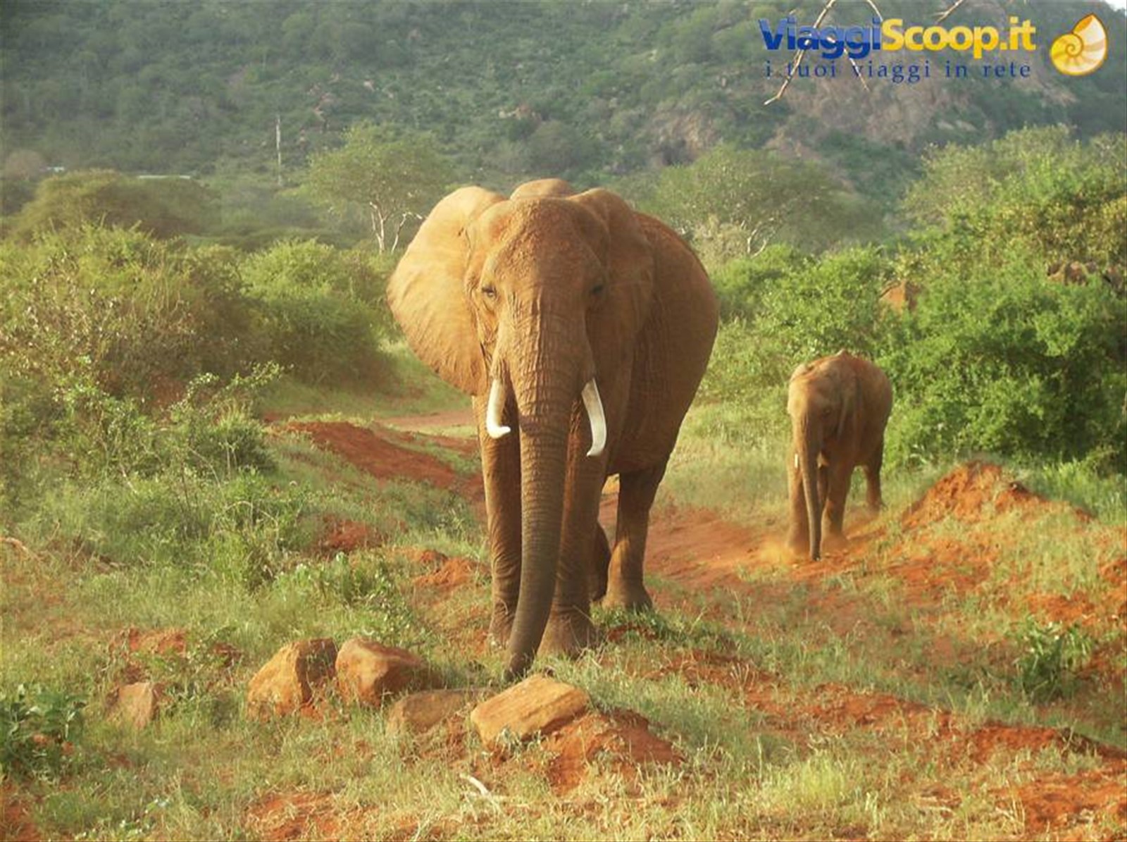 Foto di viaggio in KENYA