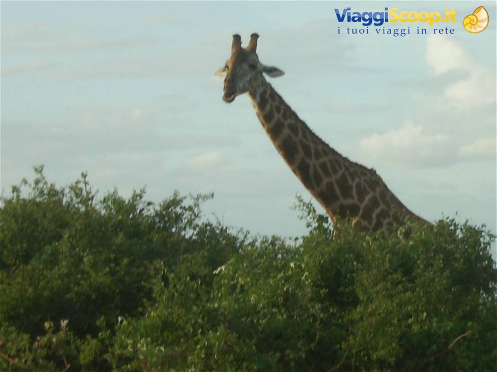 Foto di viaggio in KENYA
