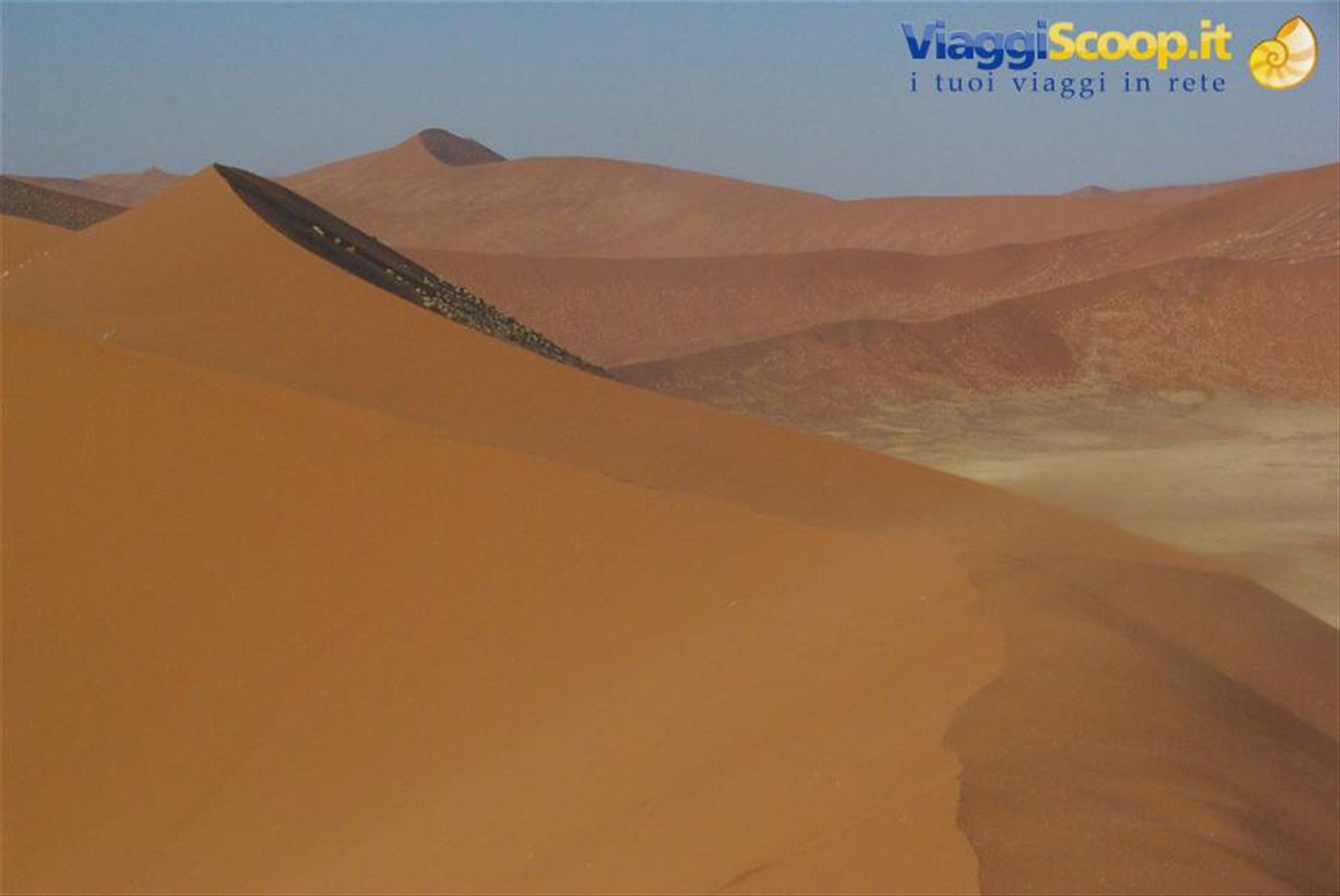 Desert namib