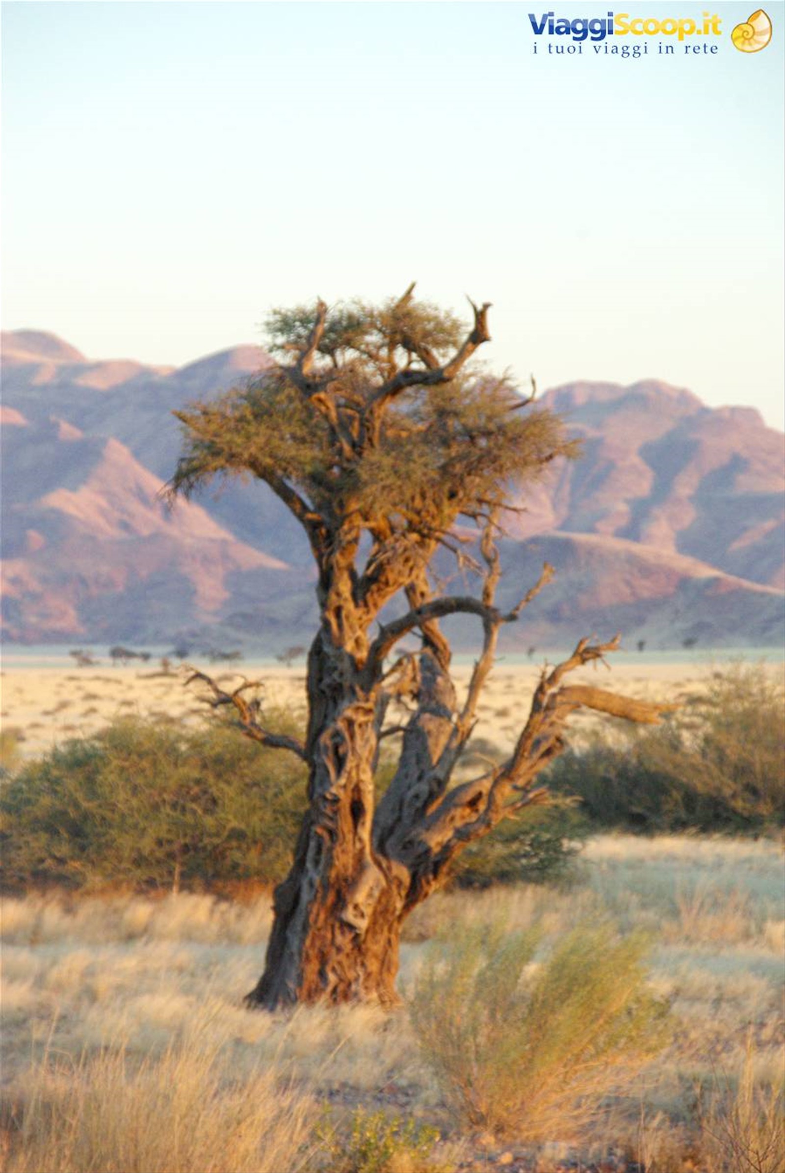 Desert Namib