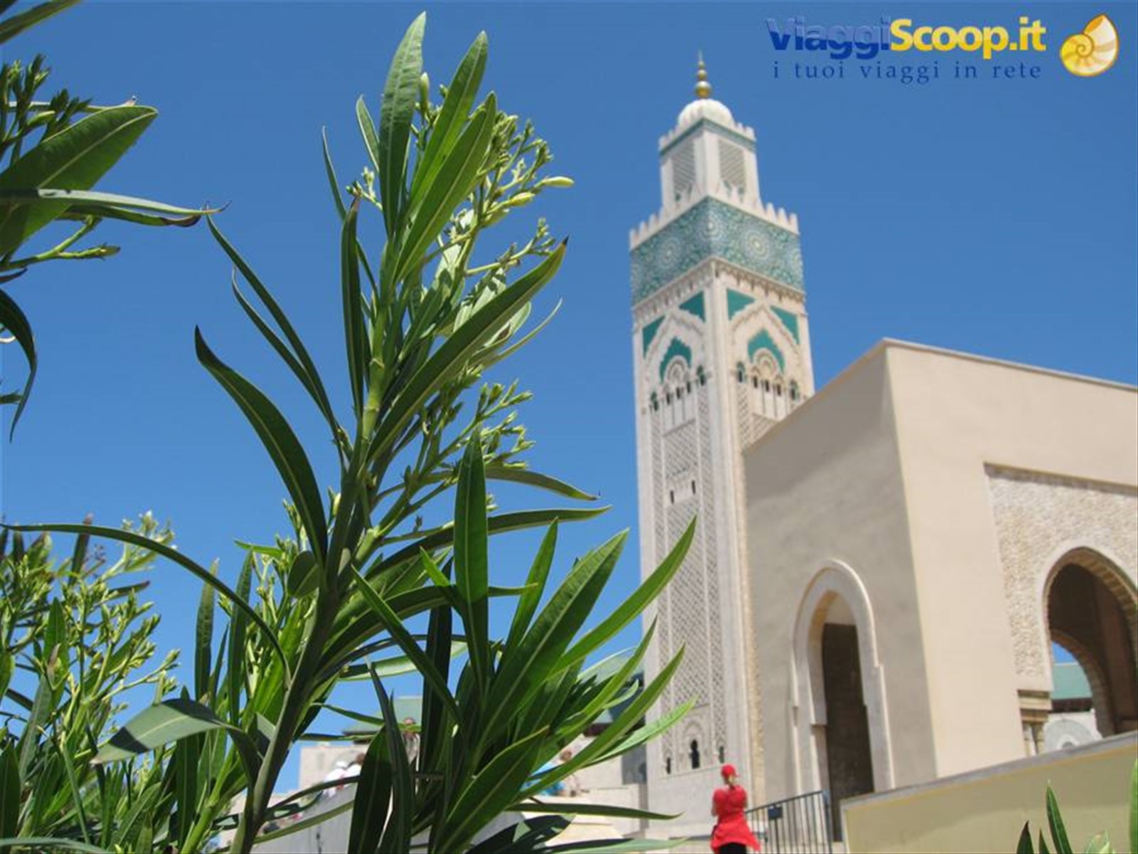 Foto di viaggio in MAROCCO