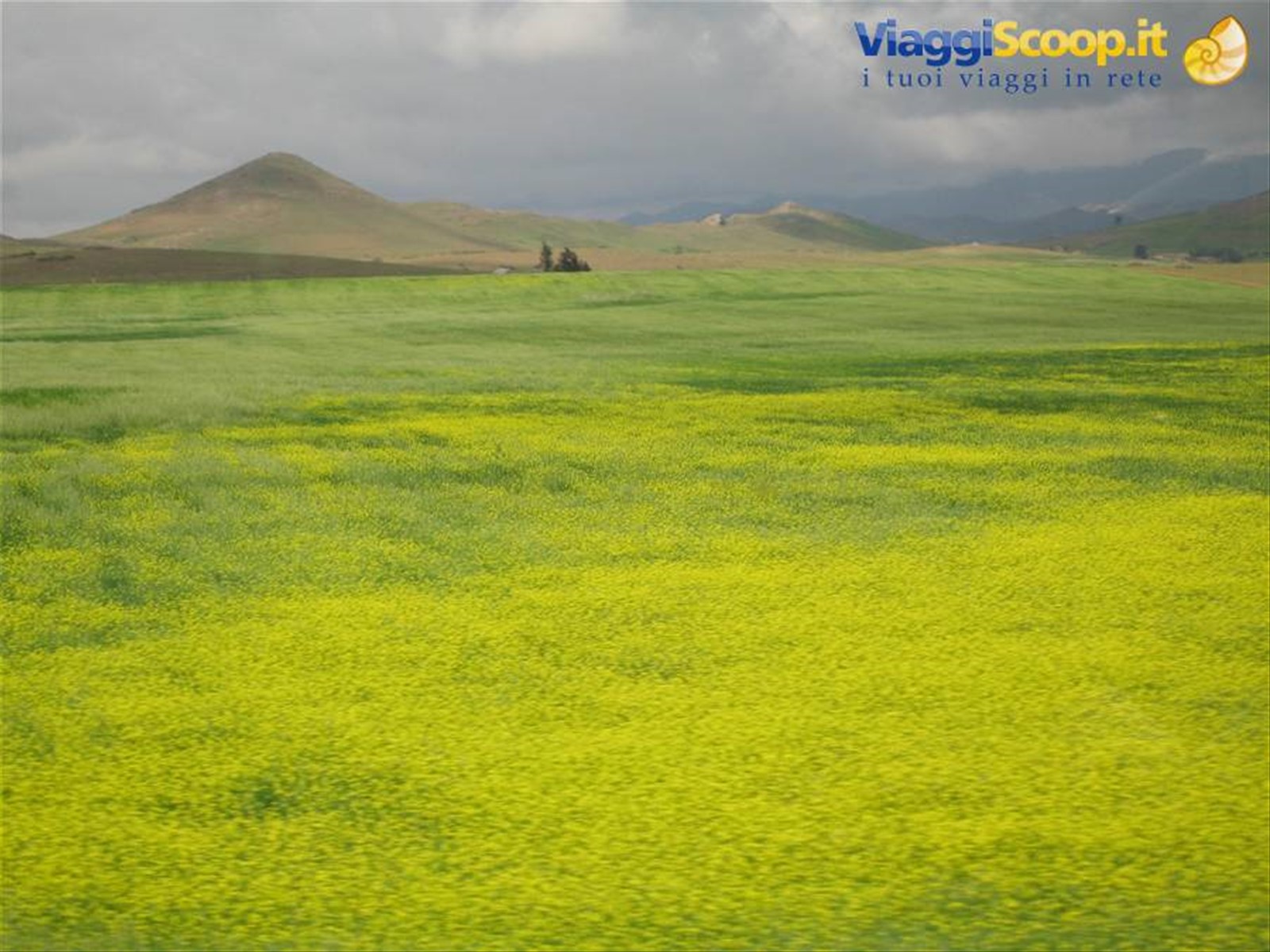 Foto di viaggio in MAROCCO