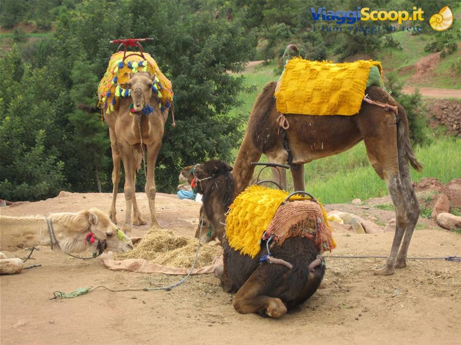 Foto di viaggio in MAROCCO