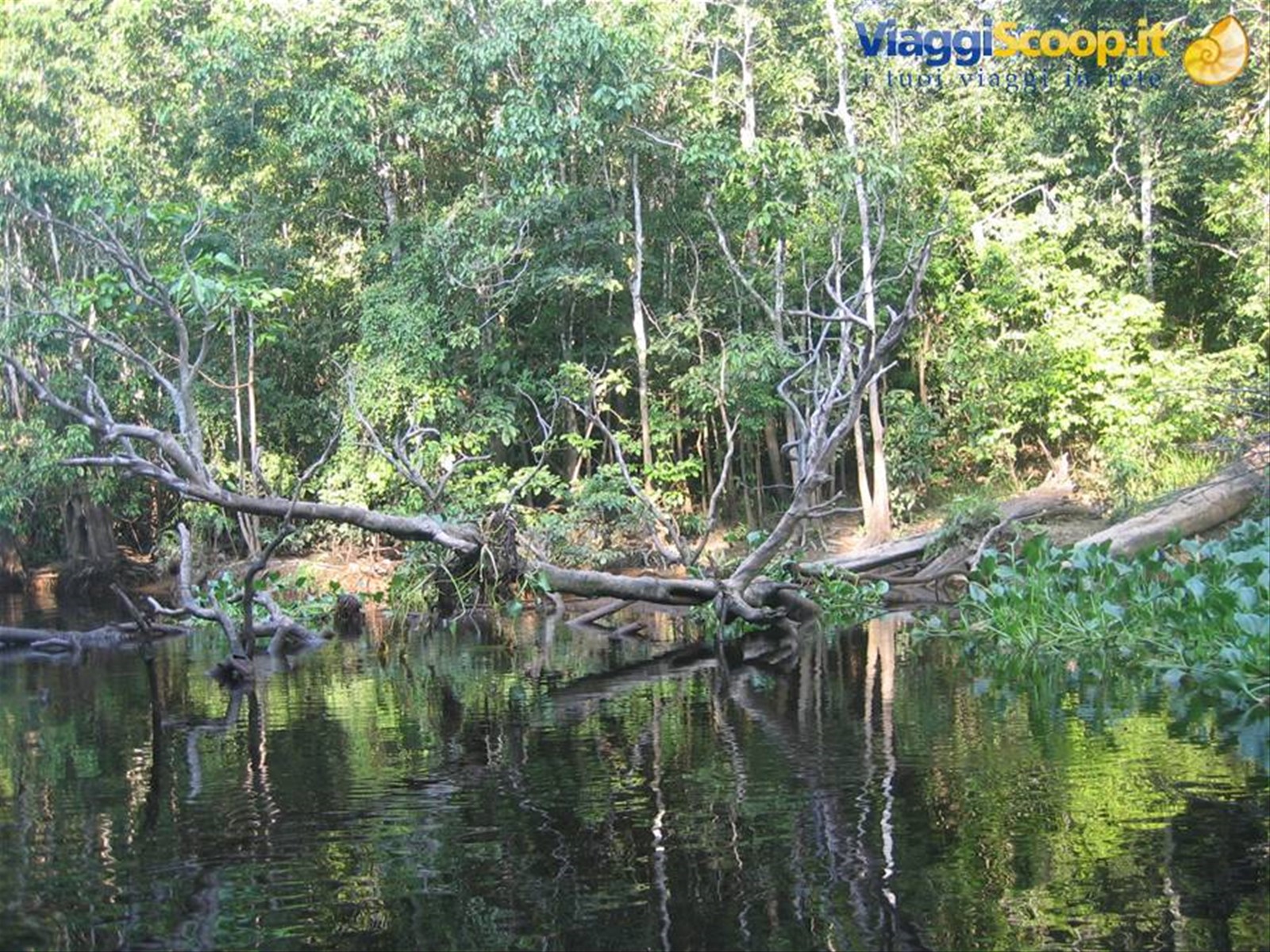 Foto di viaggio in MALESIA