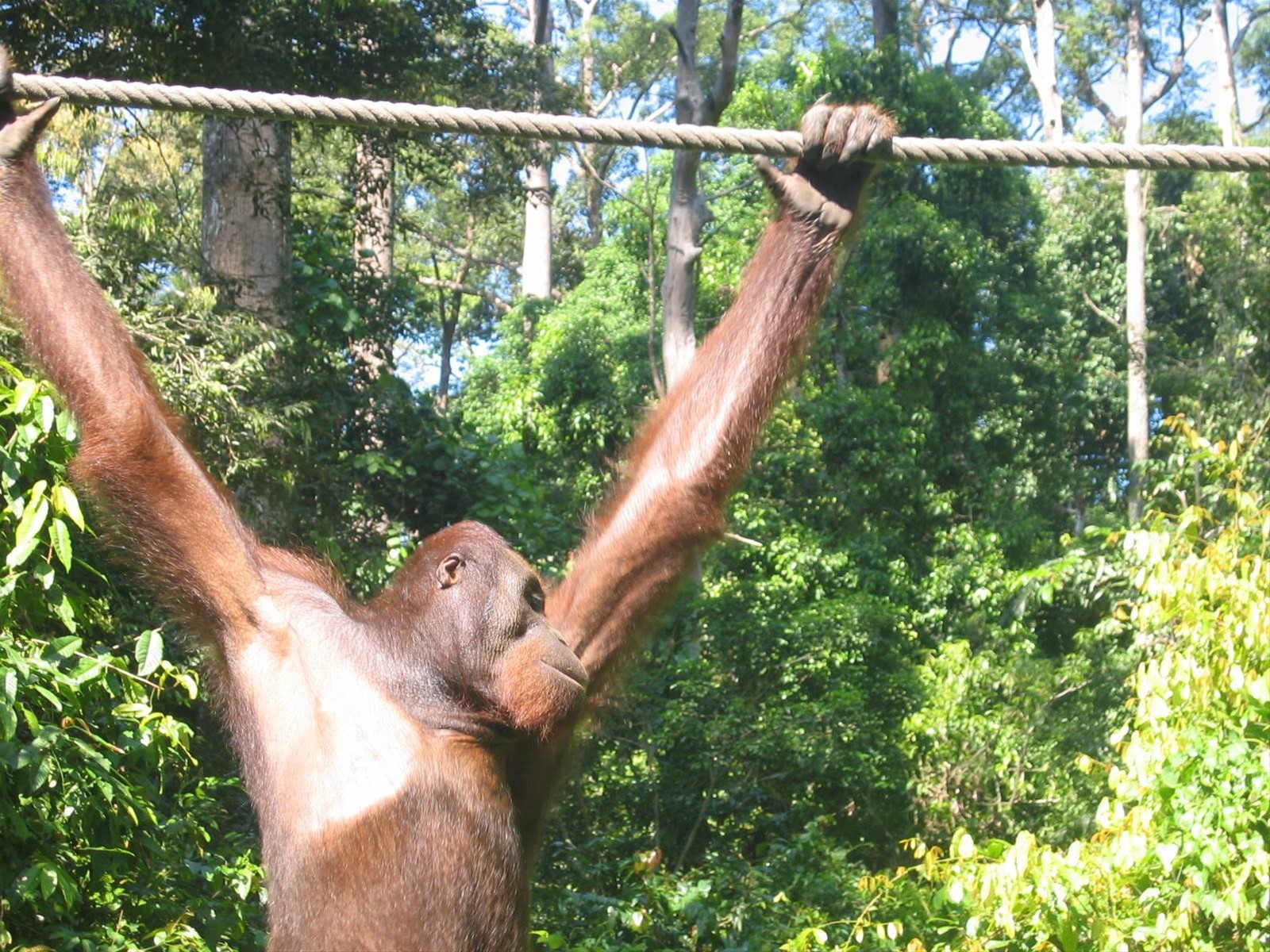 Foto di viaggio in MALESIA