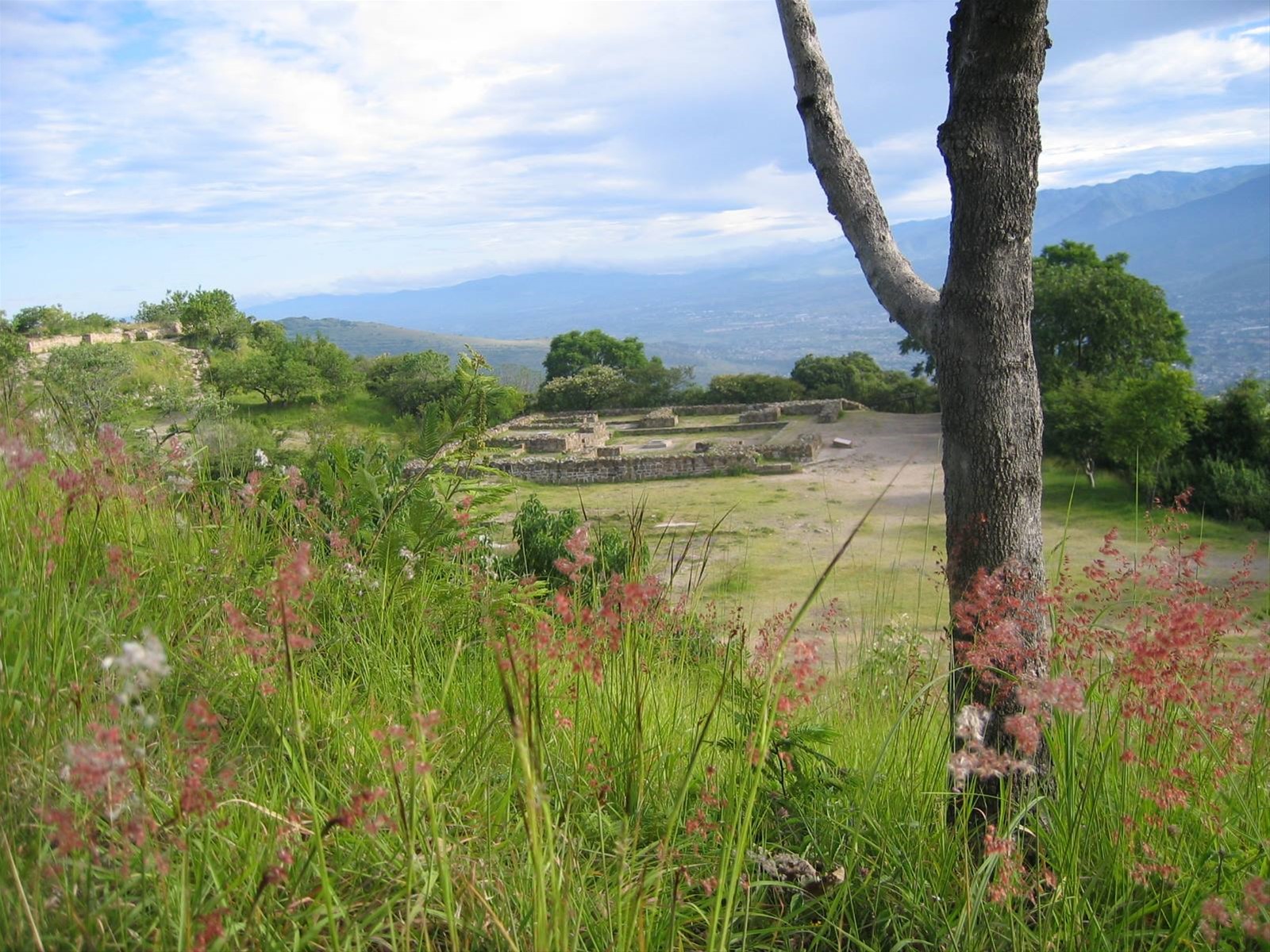 Foto di viaggio in MESSICO