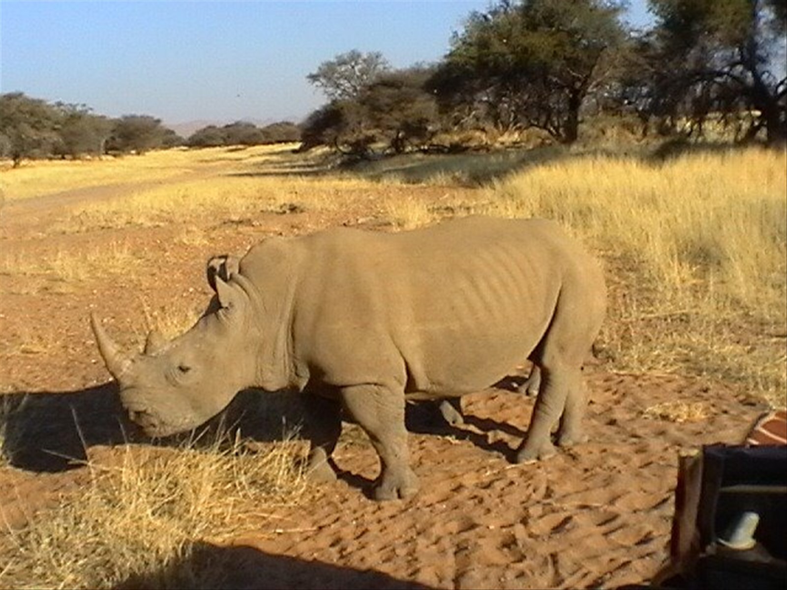 Foto di viaggio in SUD AFRICA