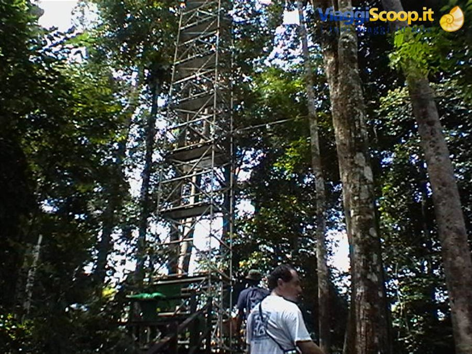 struttura in alluminio per ammirare la jungla dall'alto della cima degli alberi