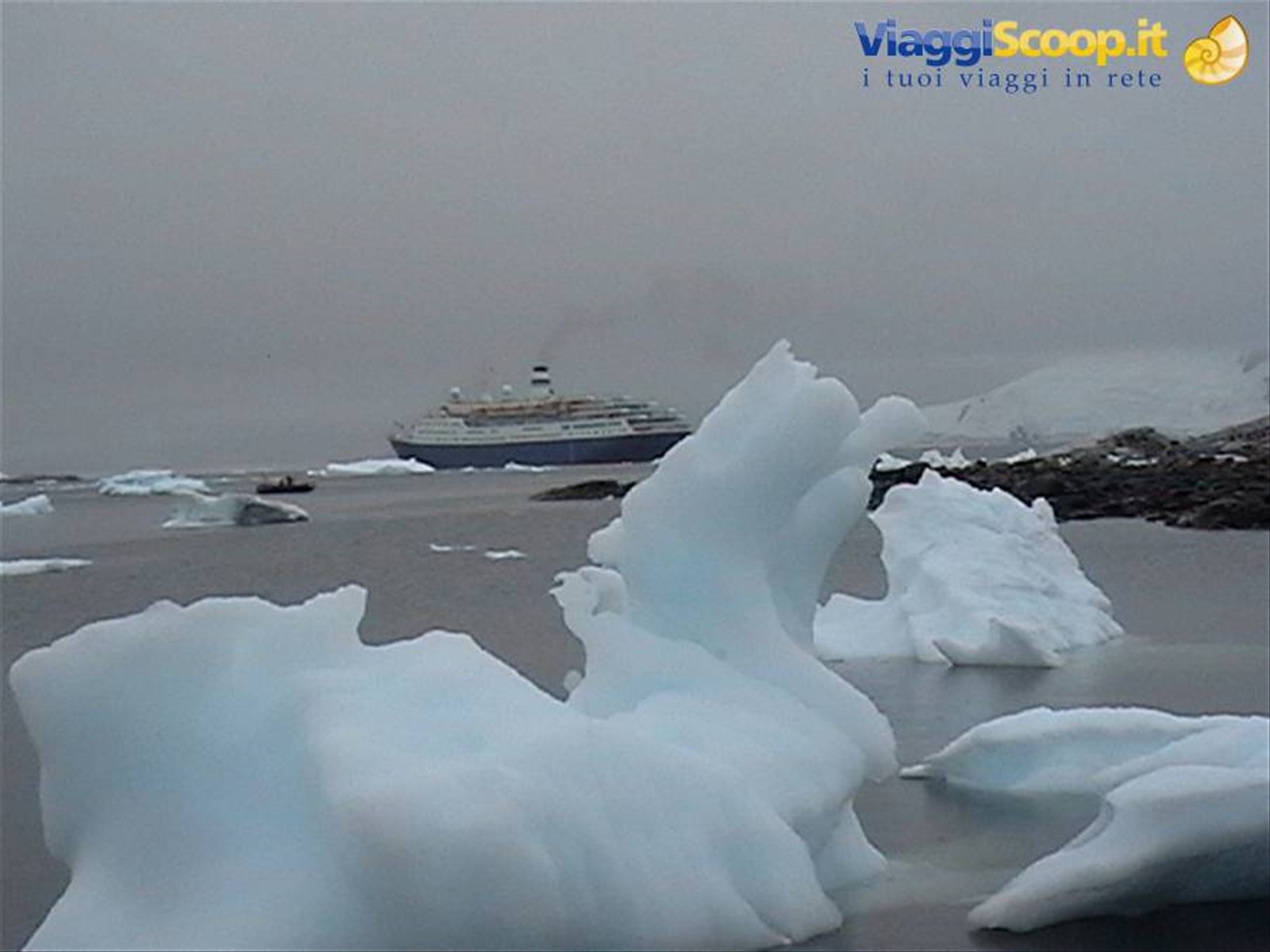 Foto di viaggio in ANTARTICA