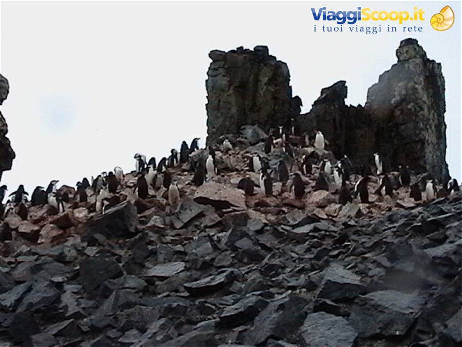 Foto di viaggio in ANTARTICA