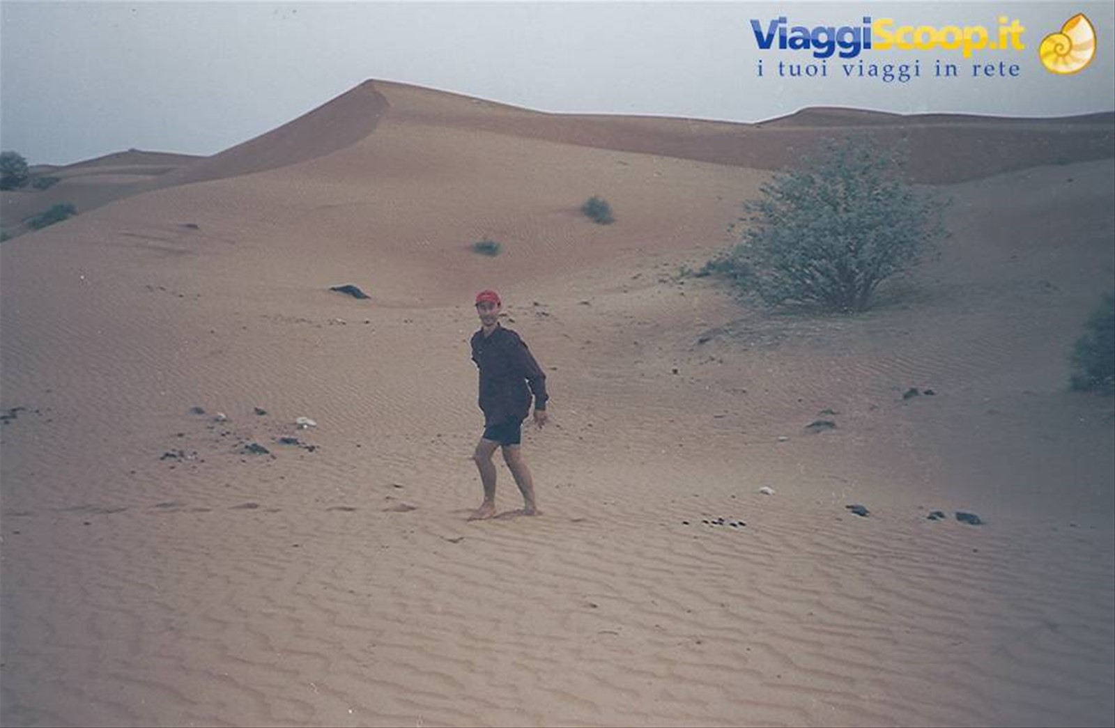 Foto di viaggio in EMIRATI ARABI UNITI