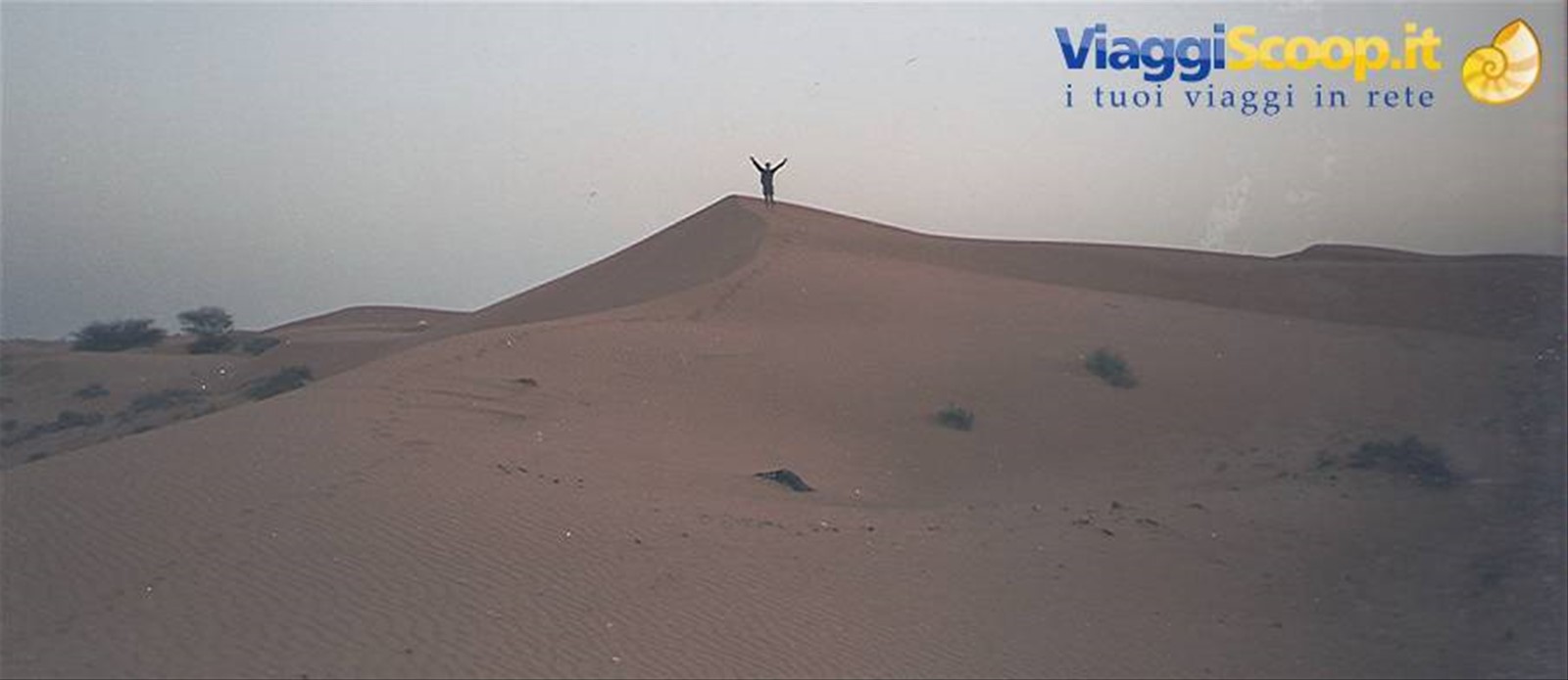 Foto di viaggio in EMIRATI ARABI UNITI