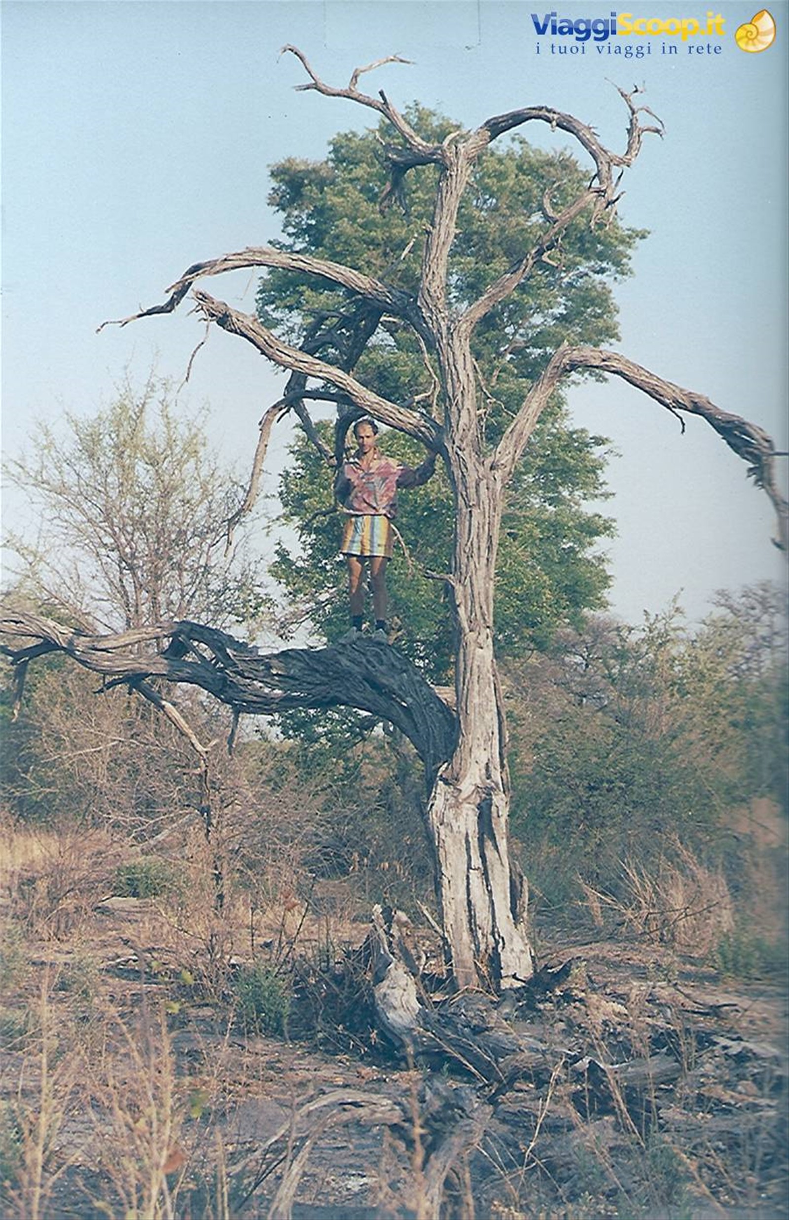 Foto di viaggio in TANZANIA
