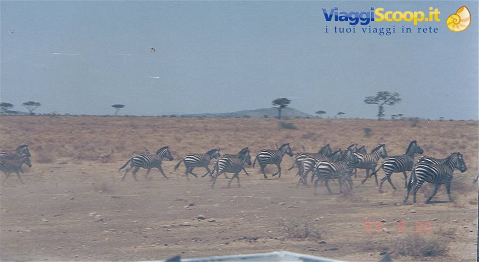 Foto di viaggio in TANZANIA