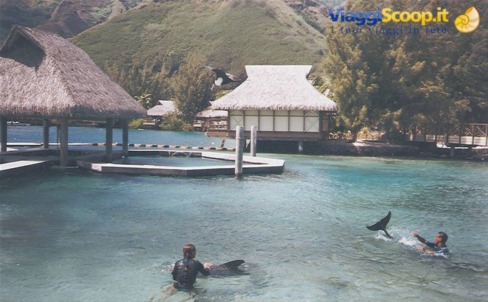 Foto di viaggio in POLINESIA FRANCESE