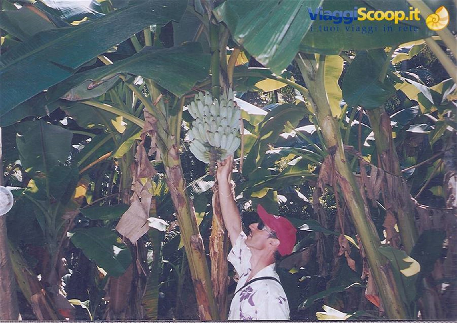 Foto di viaggio in MICRONESIA, FEDERATED STATES OF