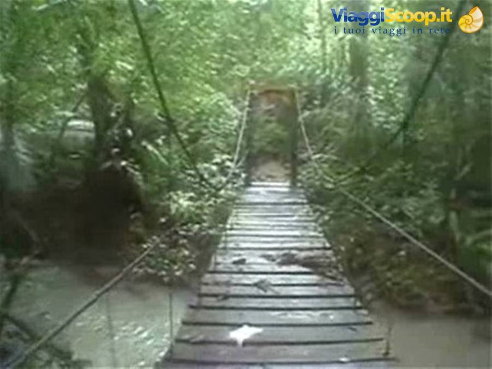 Foto di viaggio in PANAMA