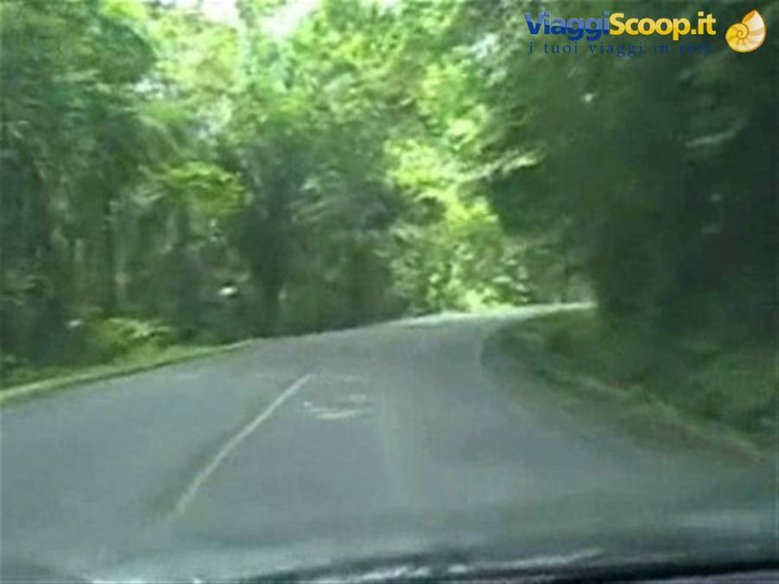 Foto di viaggio in PANAMA