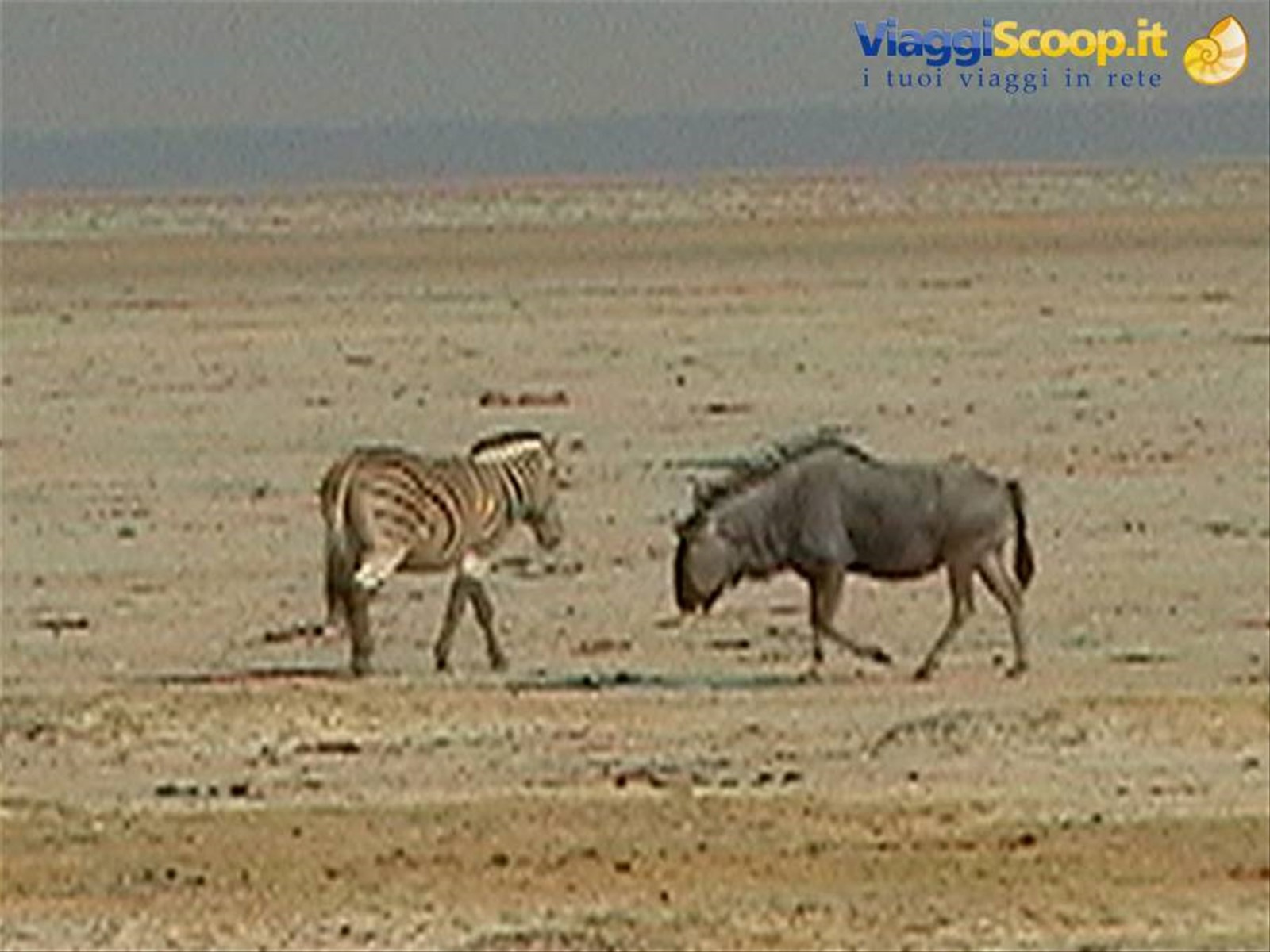 Foto di viaggio in NAMIBIA