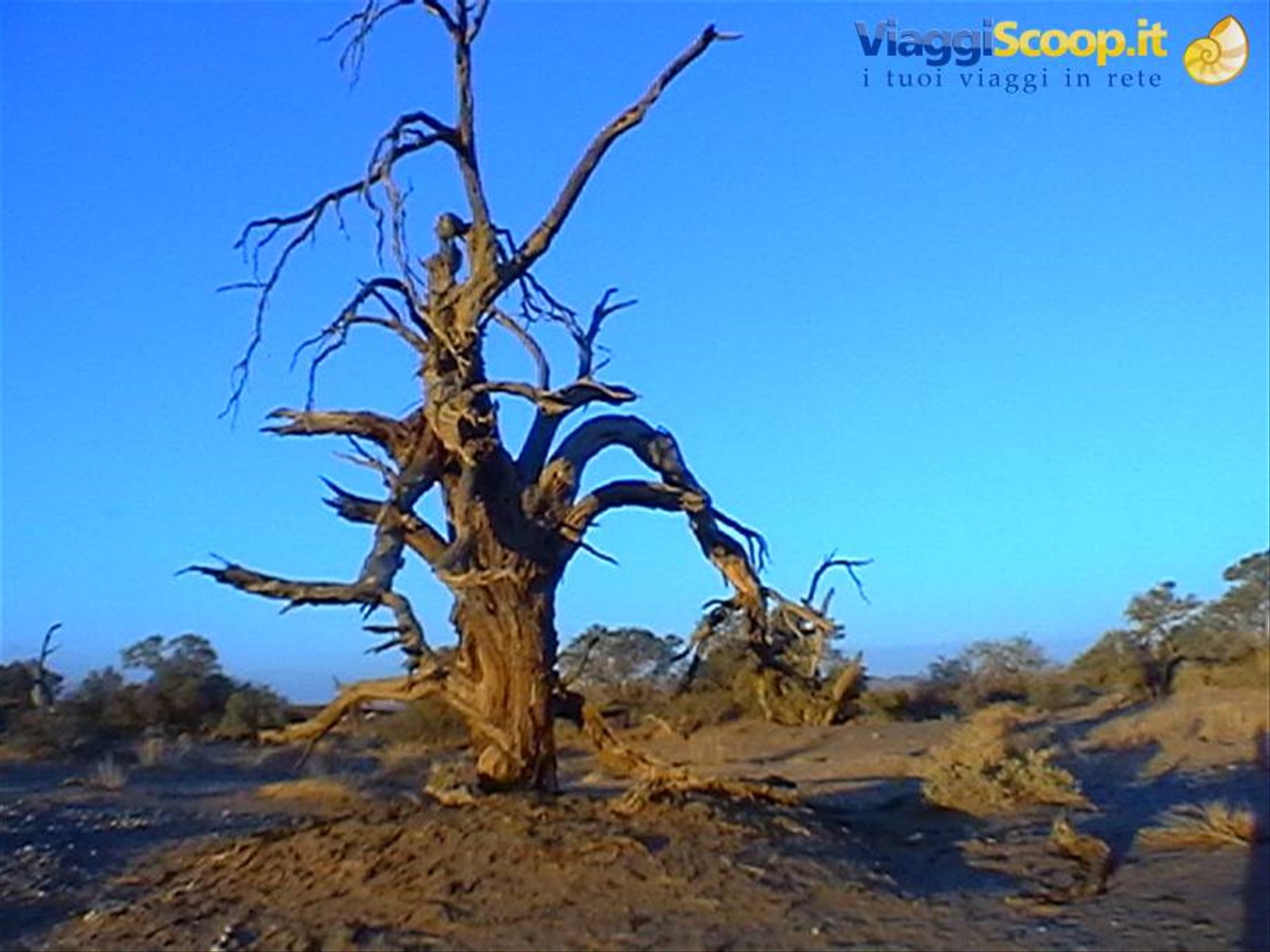 Foto di viaggio in NAMIBIA