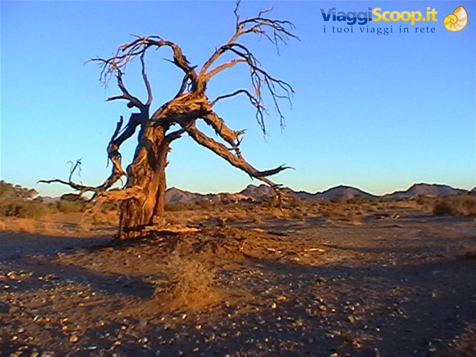 Foto di viaggio in NAMIBIA