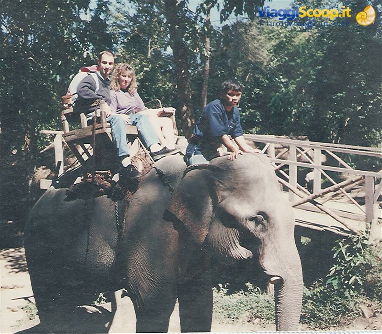 Foto di viaggio in TAILANDIA