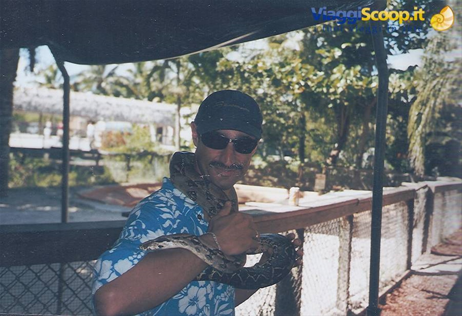 Foto di viaggio in BAHAMAS