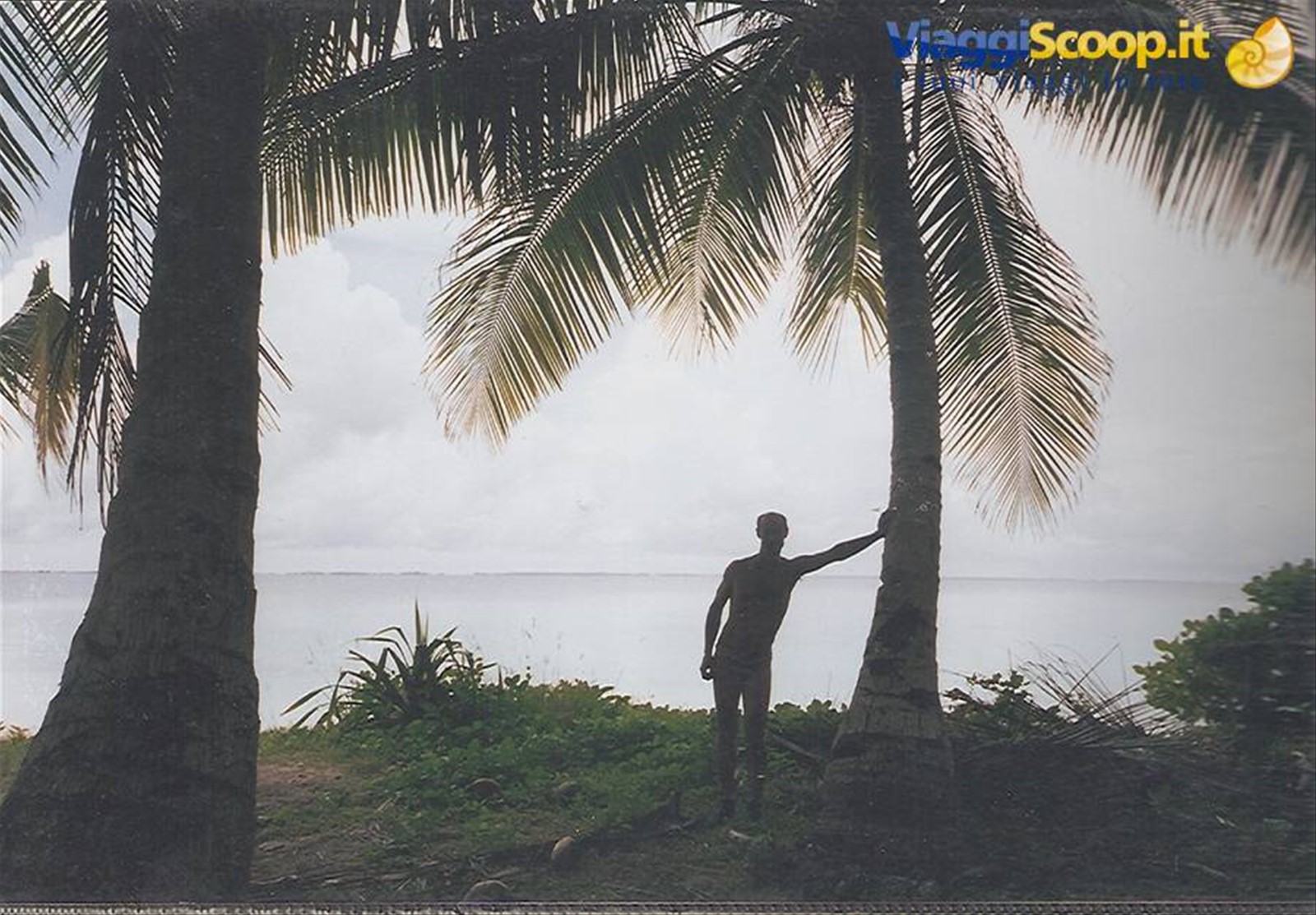 Foto di viaggio in BAHAMAS