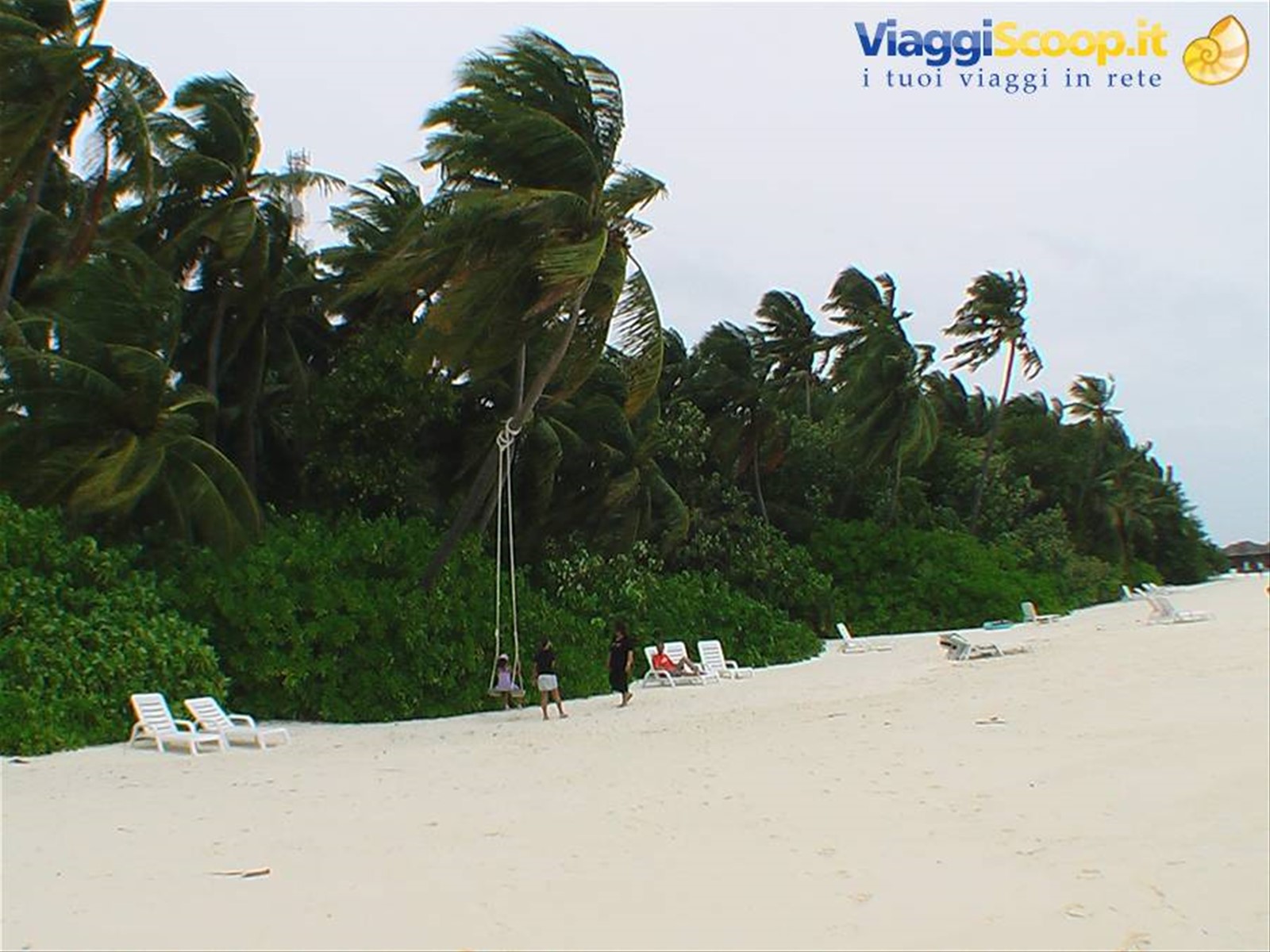 Foto di viaggio in BAHAMAS