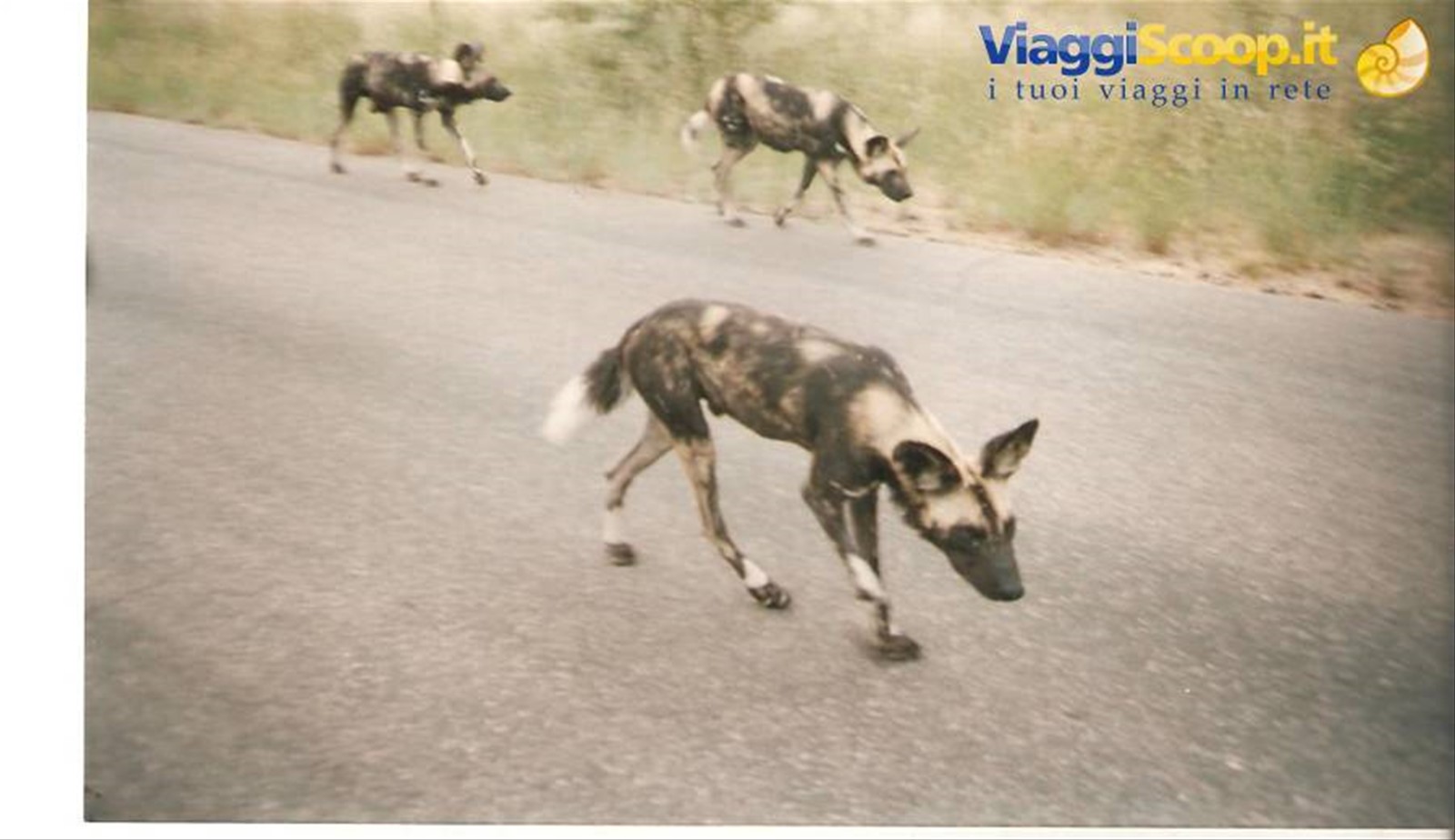 Foto di viaggio in SUD AFRICA