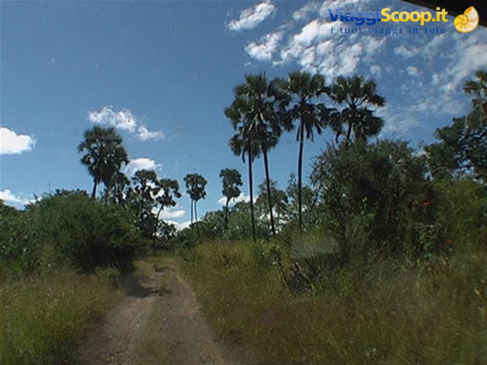 Foto di viaggio in BOTSWANA