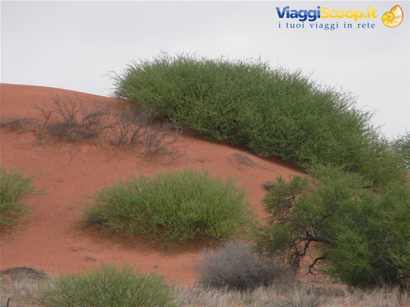 Foto di viaggio in EMIRATI ARABI UNITI