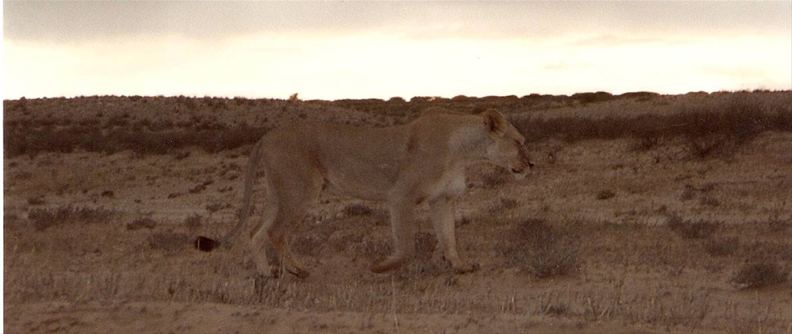 Foto di viaggio in SUD AFRICA