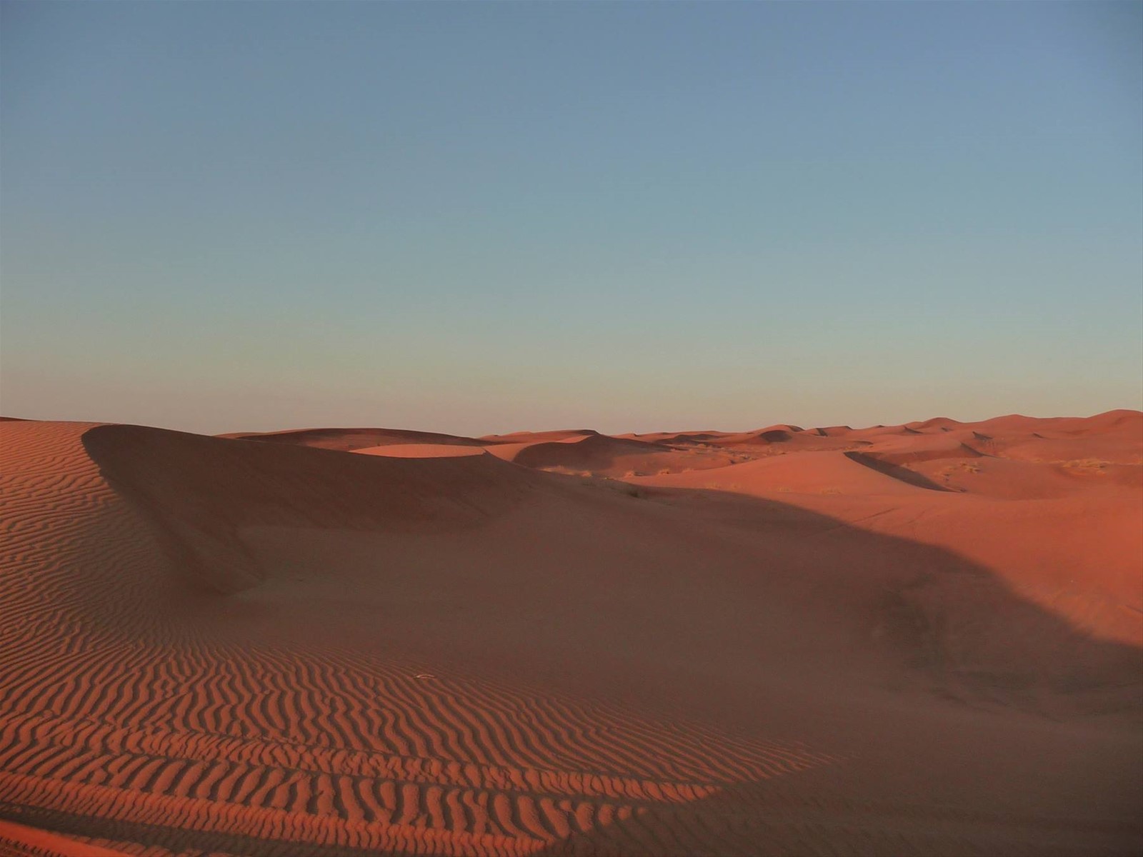 DESERT SAFARI