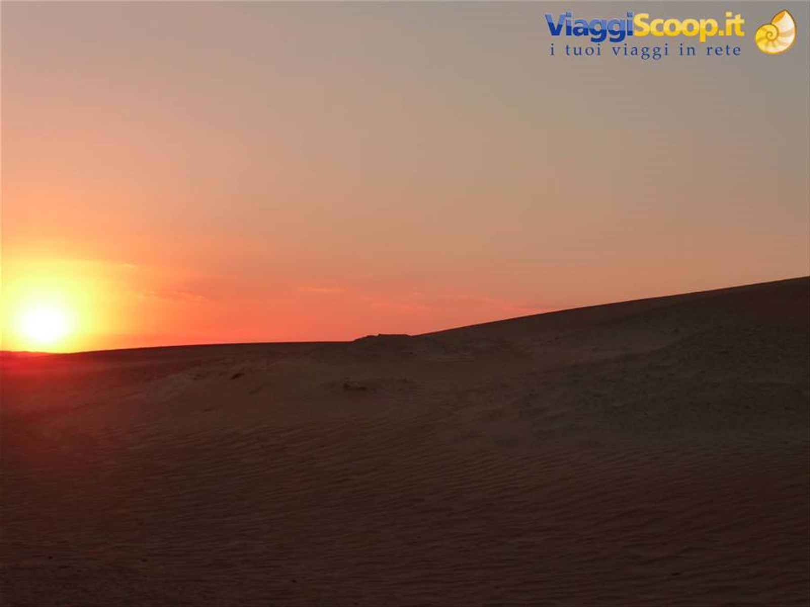 Foto di viaggio in EMIRATI ARABI UNITI
