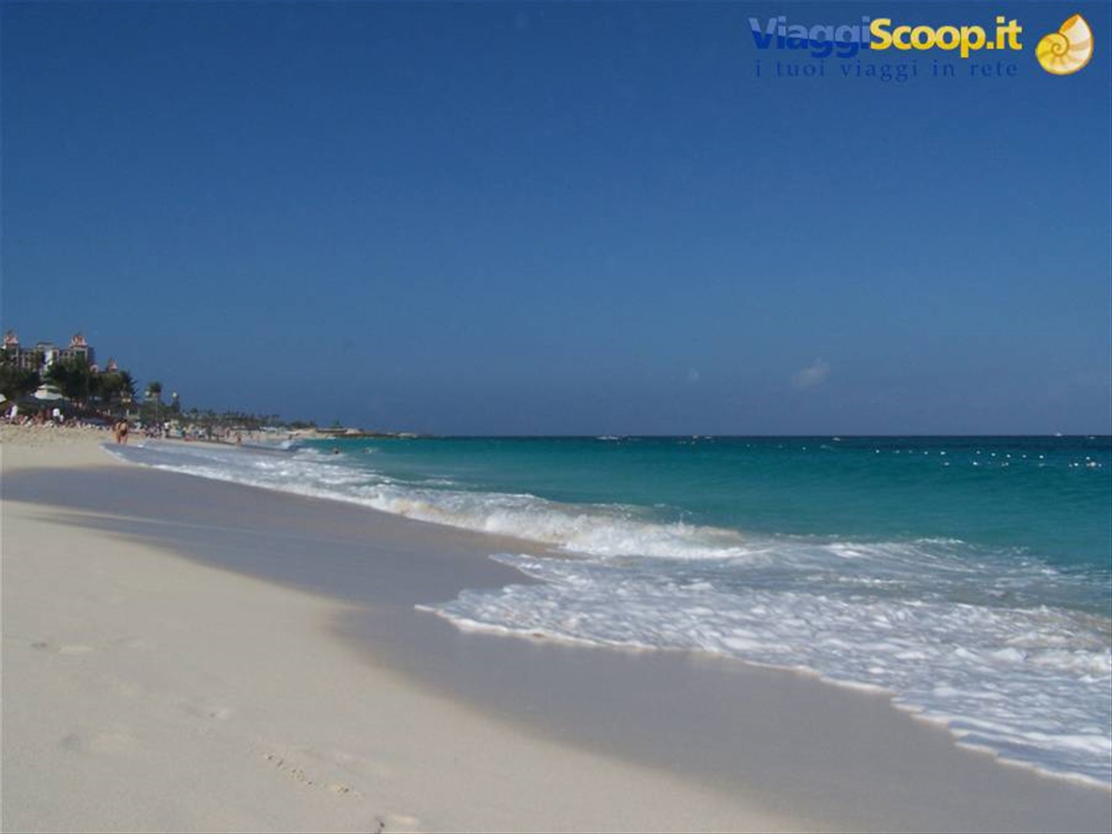 CABBAGE BEACH