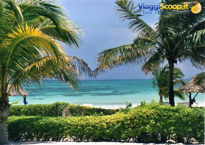 Club Akumal Beach