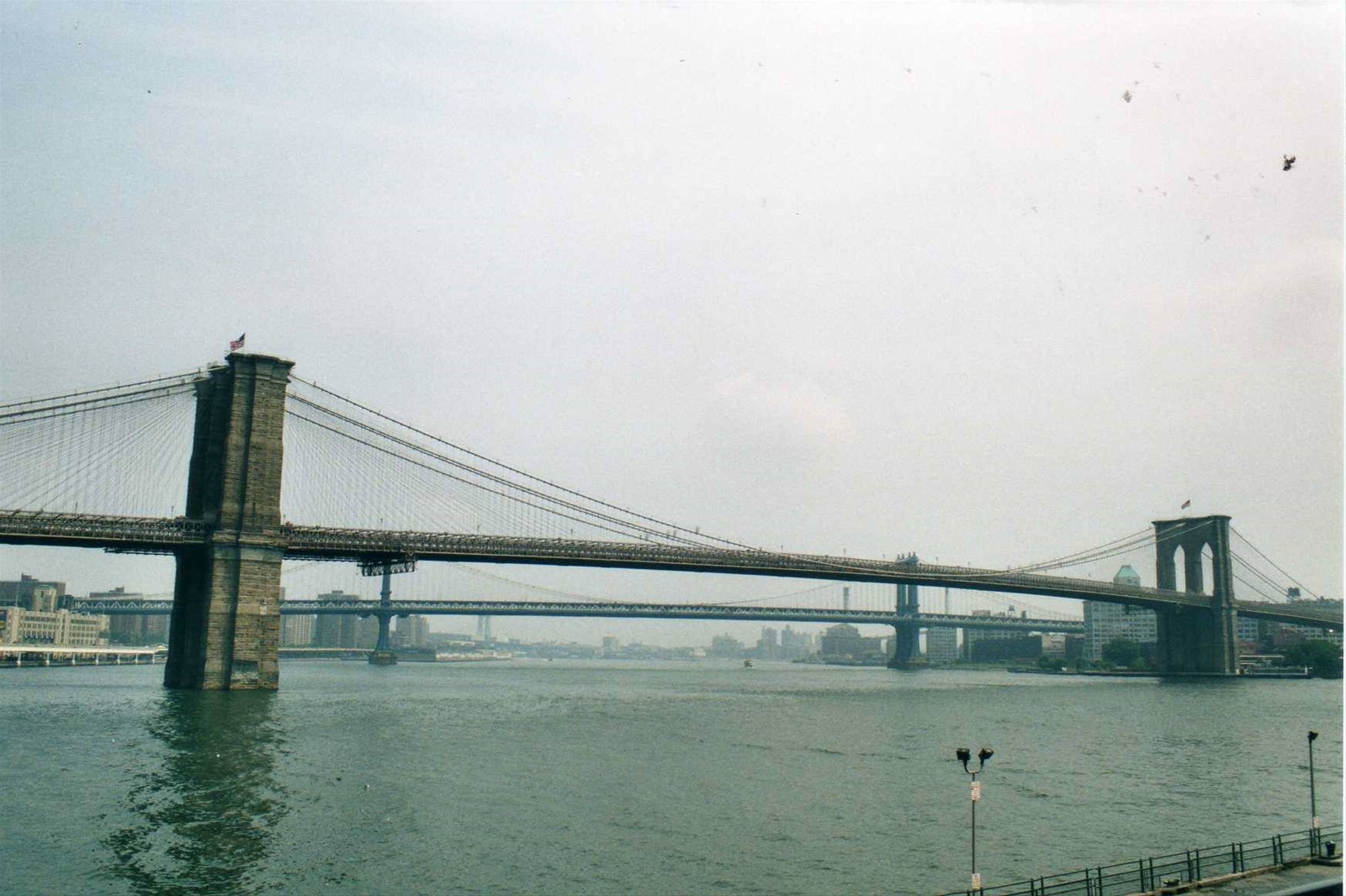 Ponte di Brooklin New York