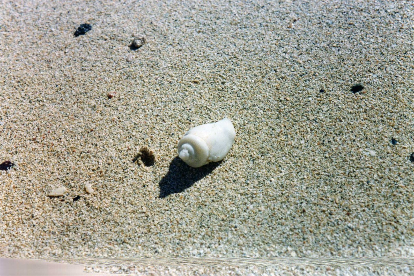 Foto di viaggio in EGITTO