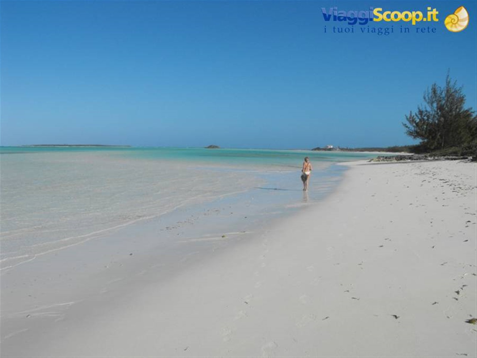 Exuma, Cocoplum beach