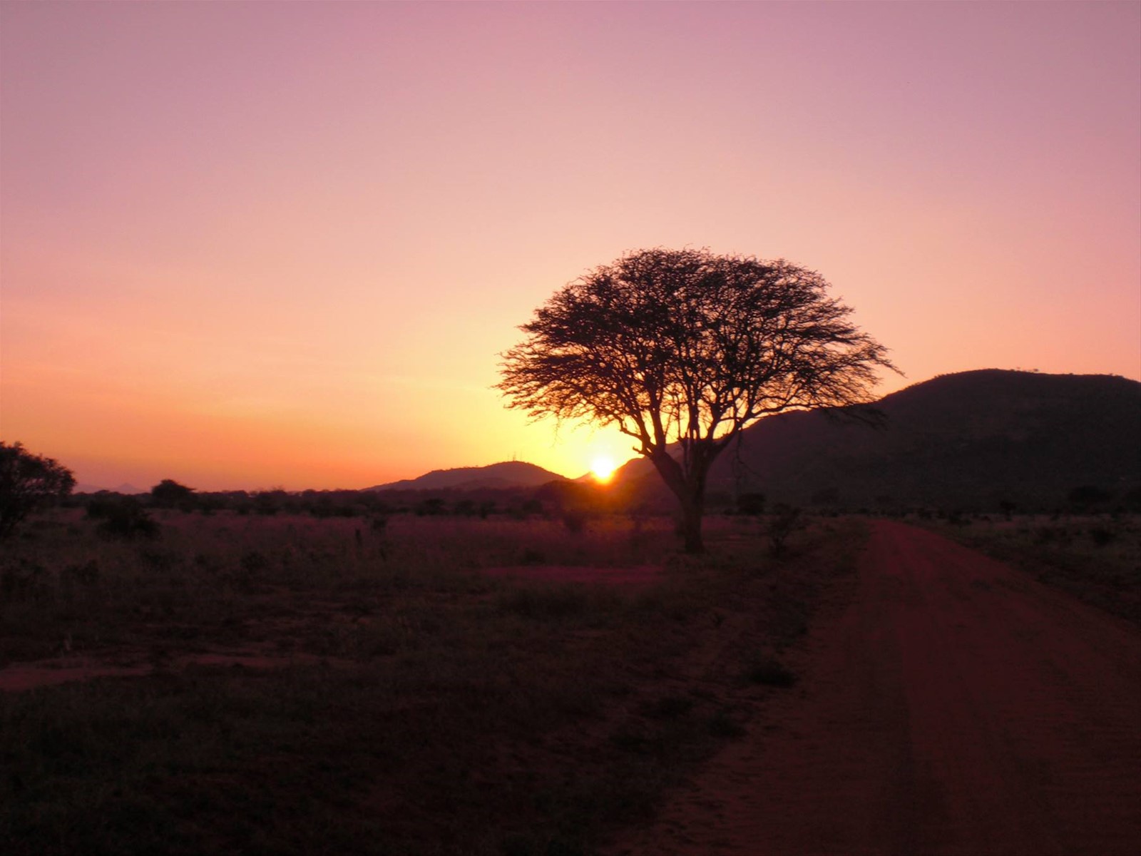 TRAMONTO TSAVO EAST