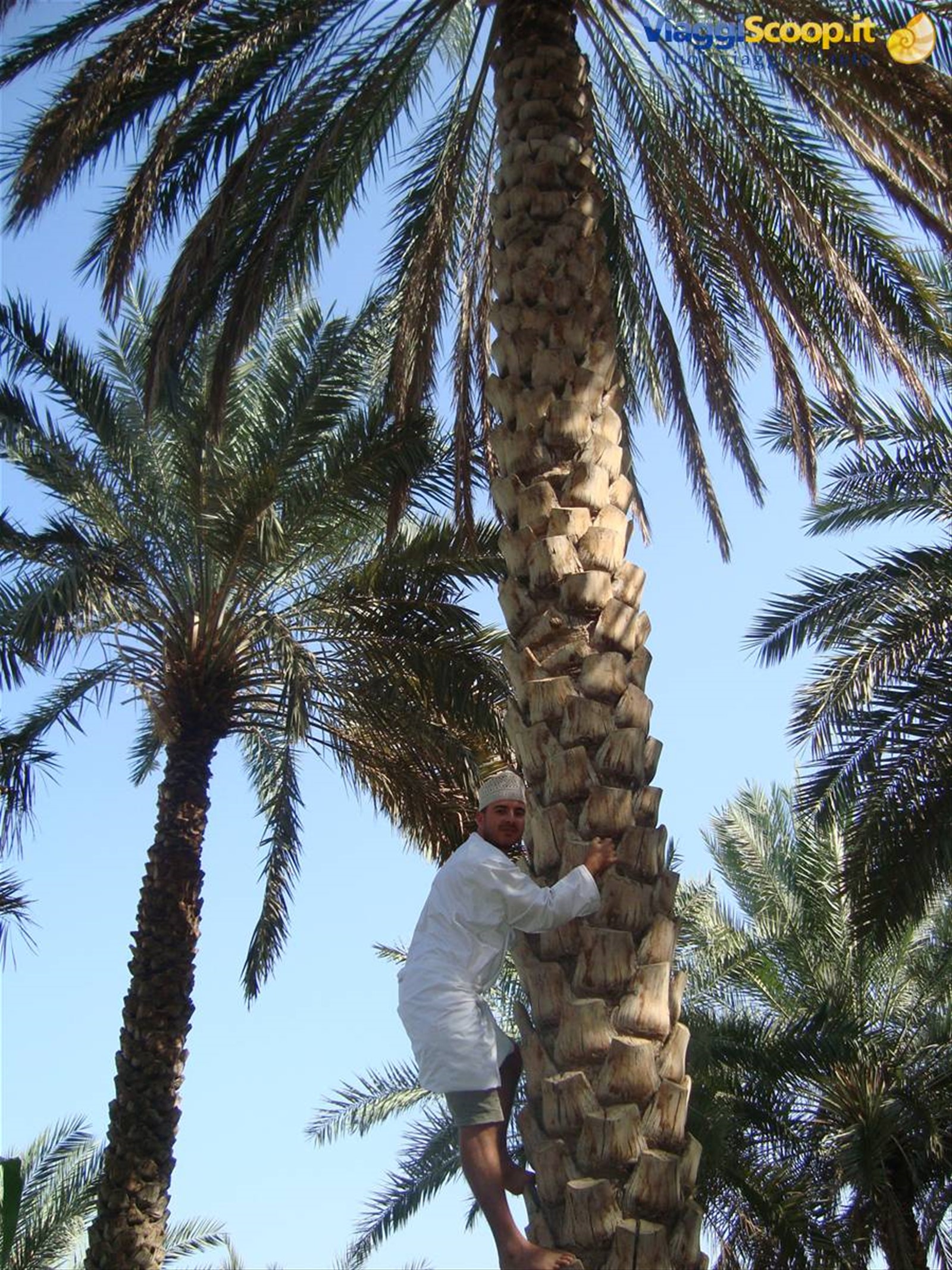 Foto di viaggio in OMAN