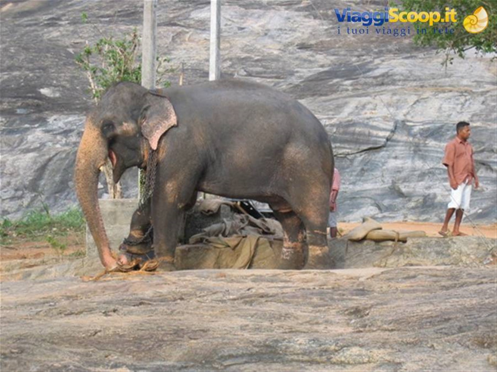 Foto di viaggio in SRI LANKA