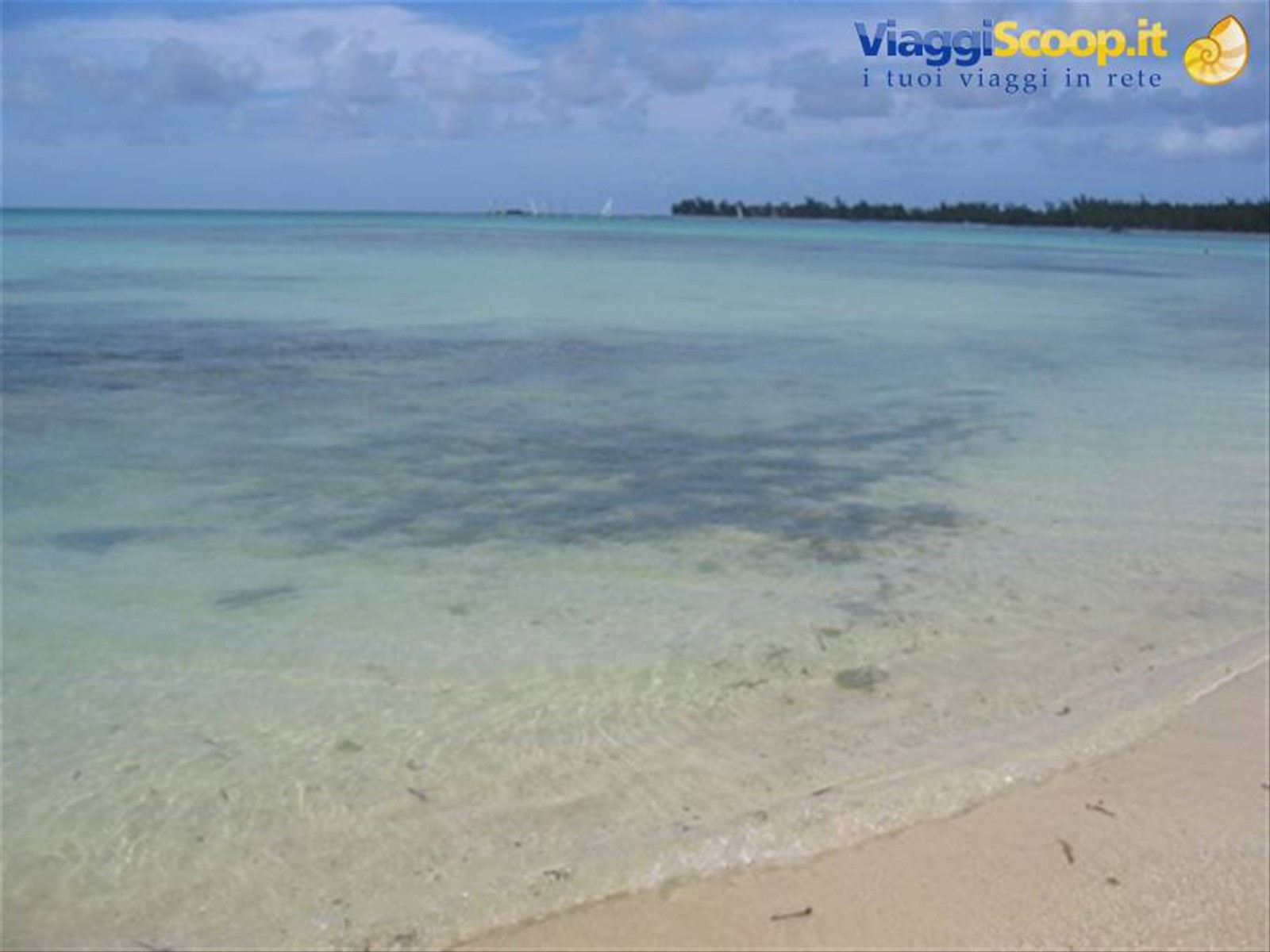 Foto di viaggio in MALDIVE
